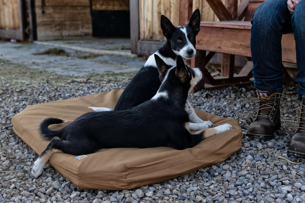 Field Dog Bed