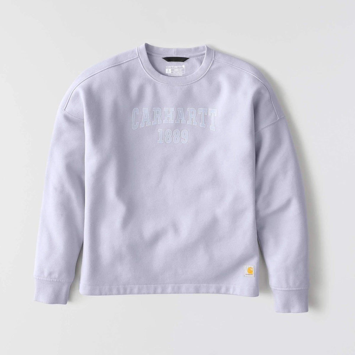 Women's Loose Fit Midweight Carhartt Graphic Sweatshirt