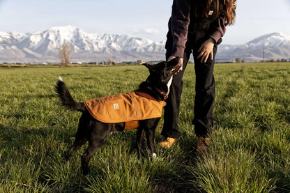 Firm Duck Insulated Dog Chore Coat