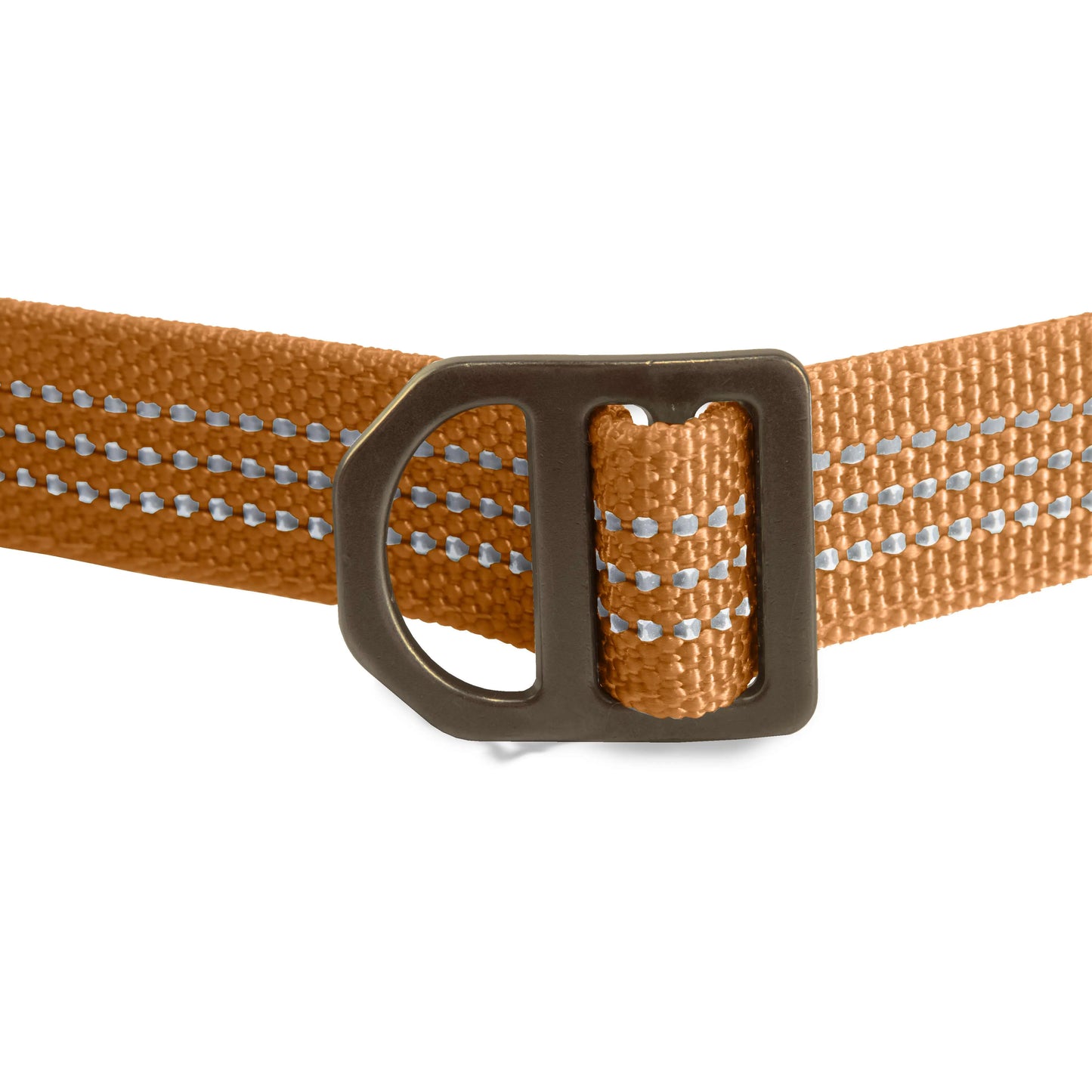 Field Dog Leash