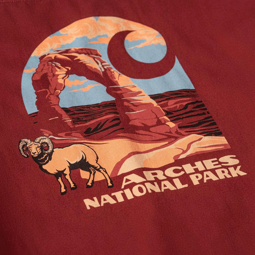 Loose Fit Heavyweight Long-Sleeve Arches National Park Graphic T-Shirt