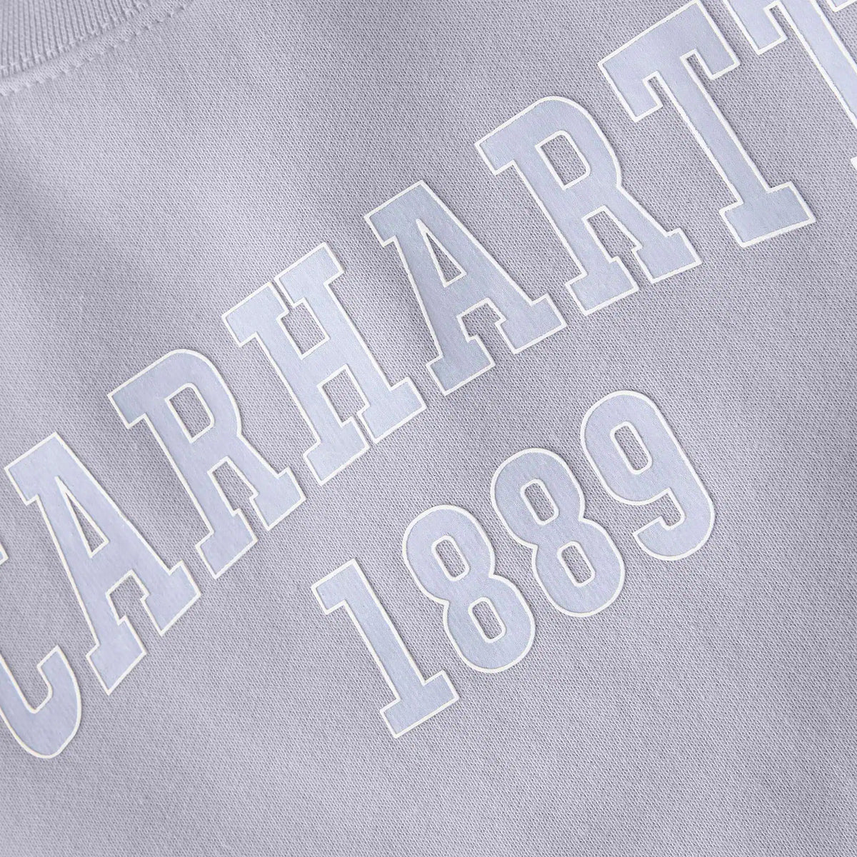 Women's Loose Fit Midweight Carhartt Graphic Sweatshirt
