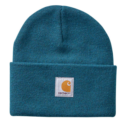 Kids' Watch Cap Beanie (B/T/C/Y)