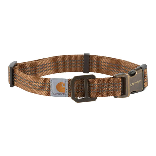 Dog Collar