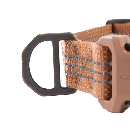 Dog Collar