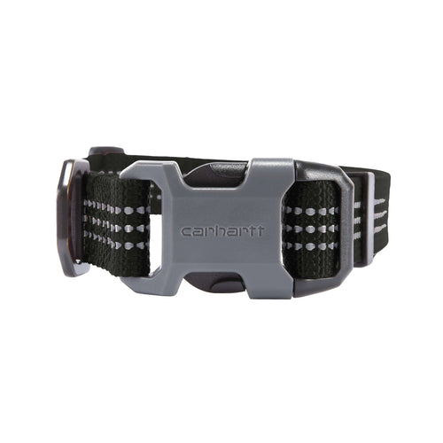 Dog Collar
