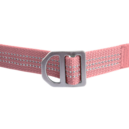 Field Dog Leash