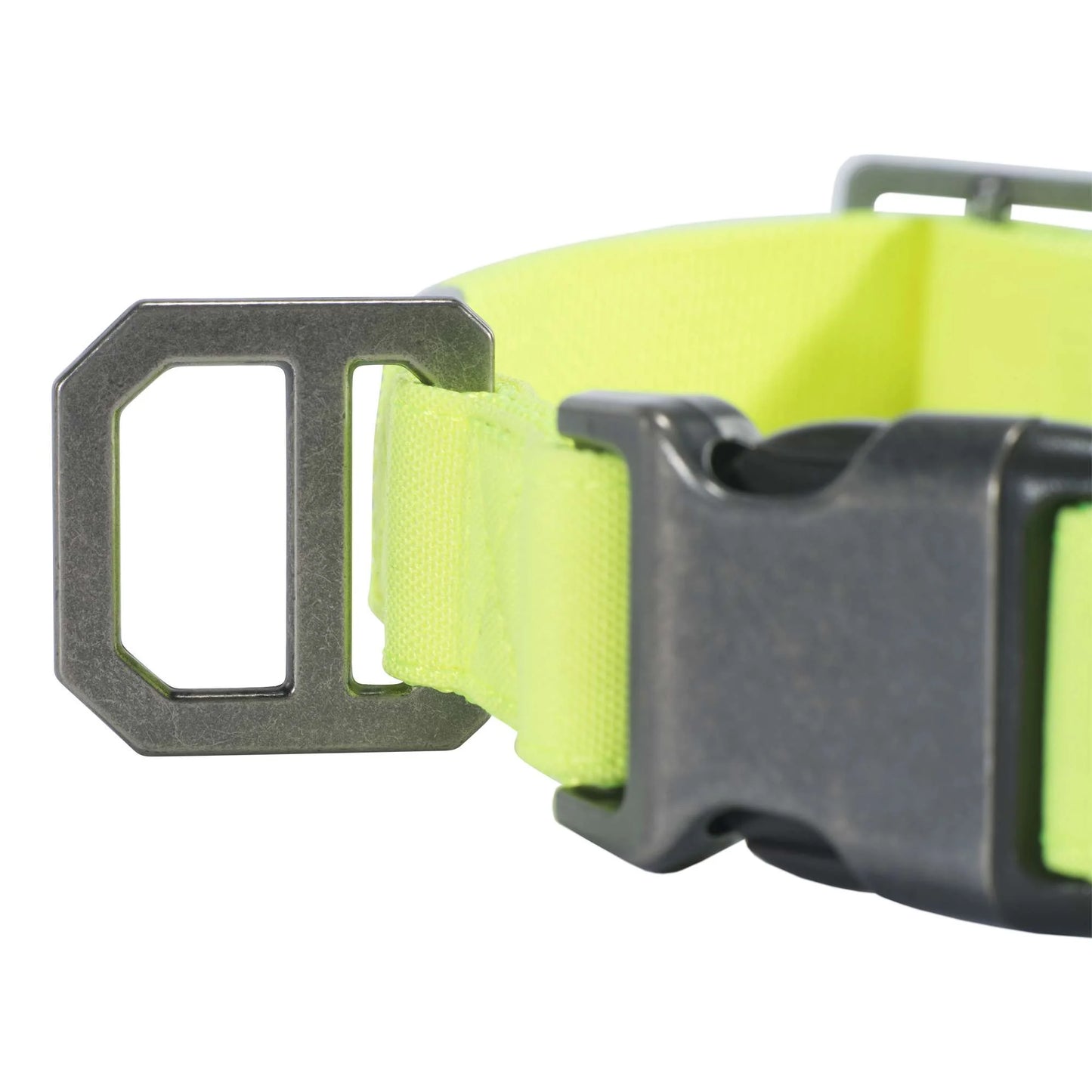 Nylon Duck Dog Collar