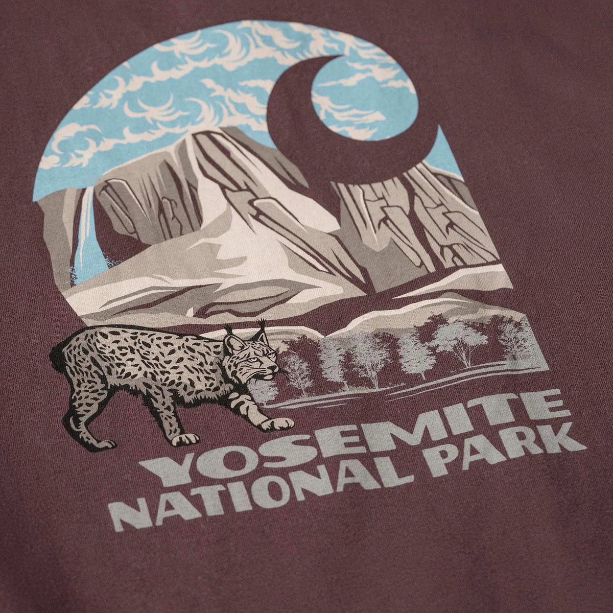 Loose Fit Heavyweight Long-Sleeve Yosemite National Park Graphic T-Shirt
