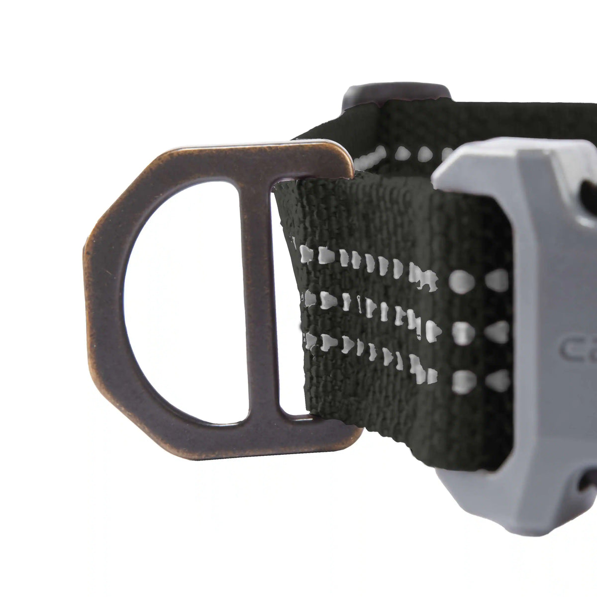 Dog Collar