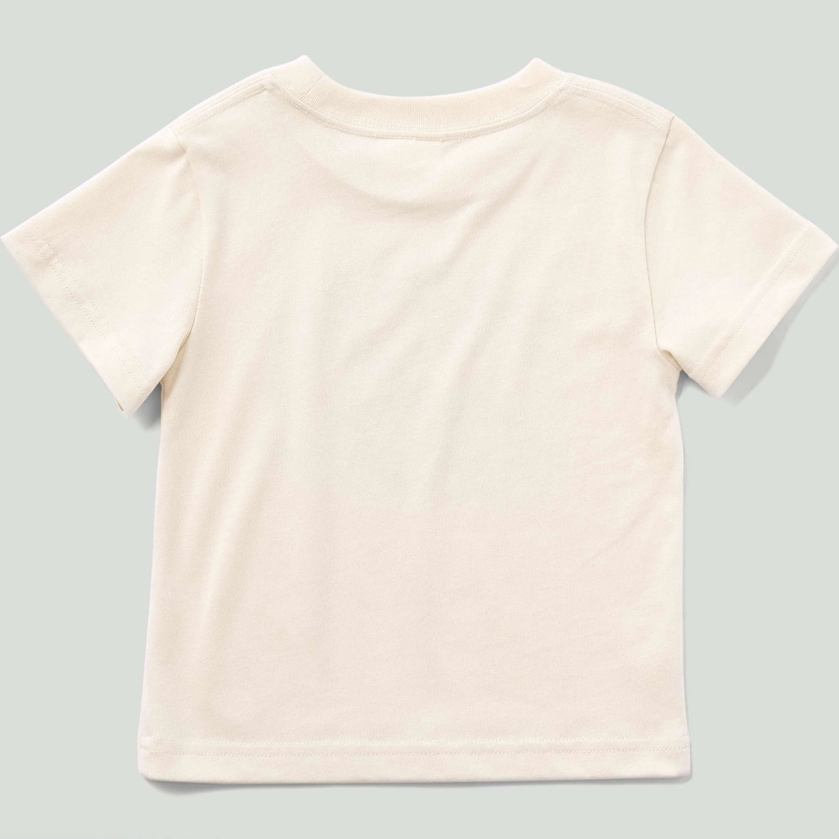 Boys' Short Sleeve Character Tee (Baby/Child/Toddler)