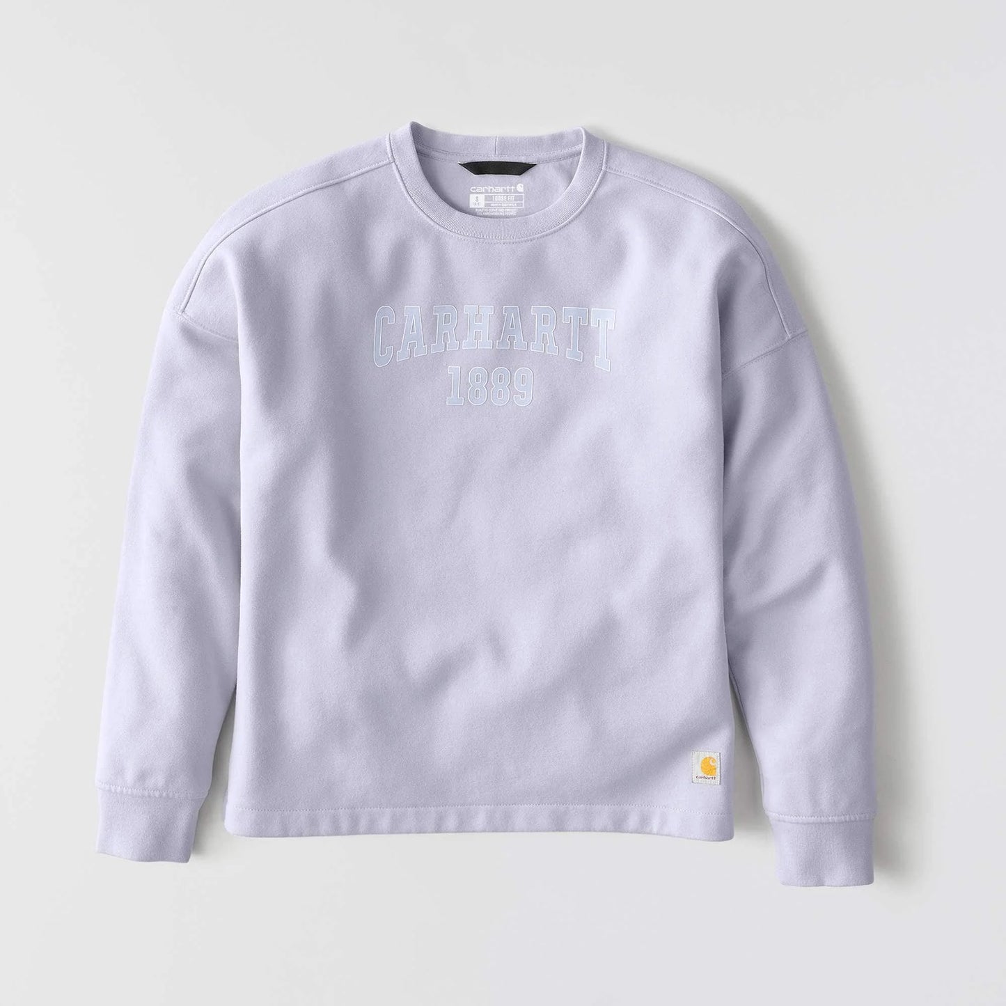 Women's Loose Fit Midweight Carhartt Graphic Sweatshirt