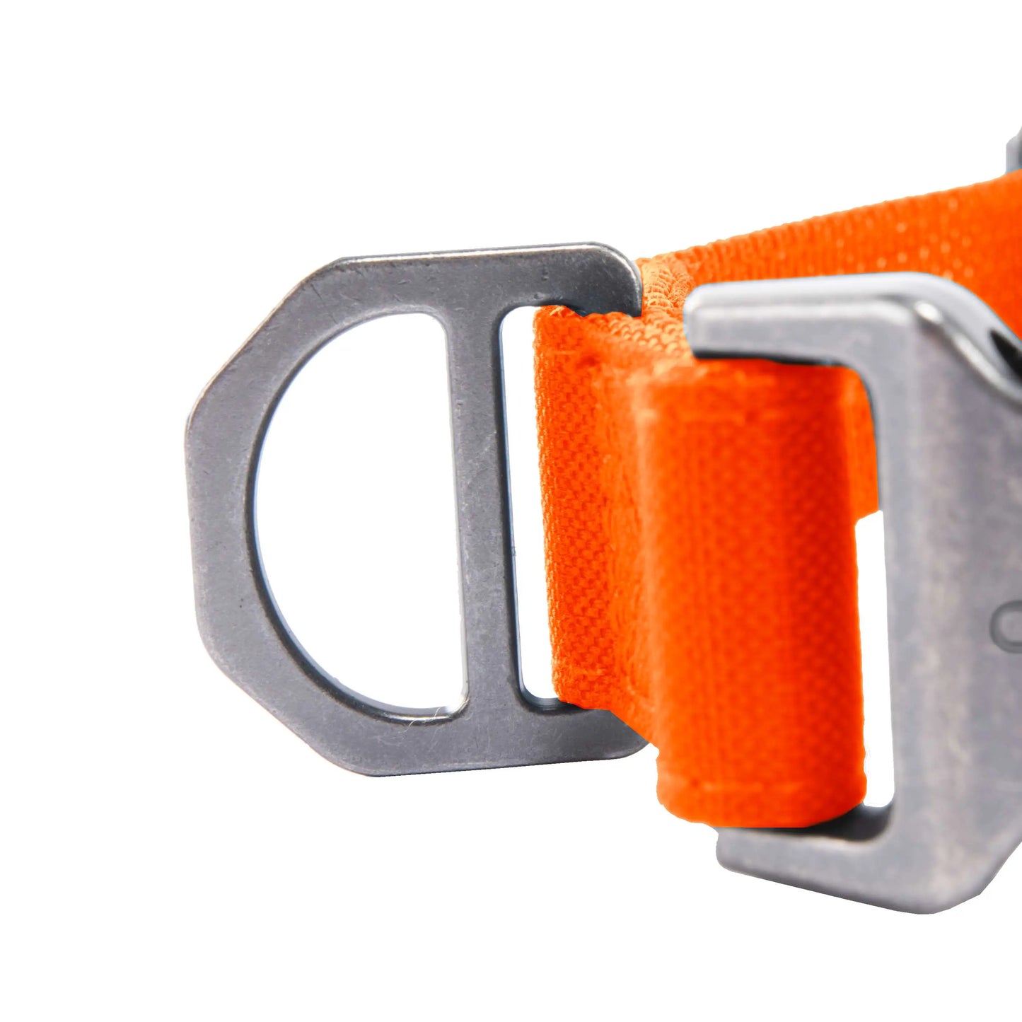 Field Dog Collar