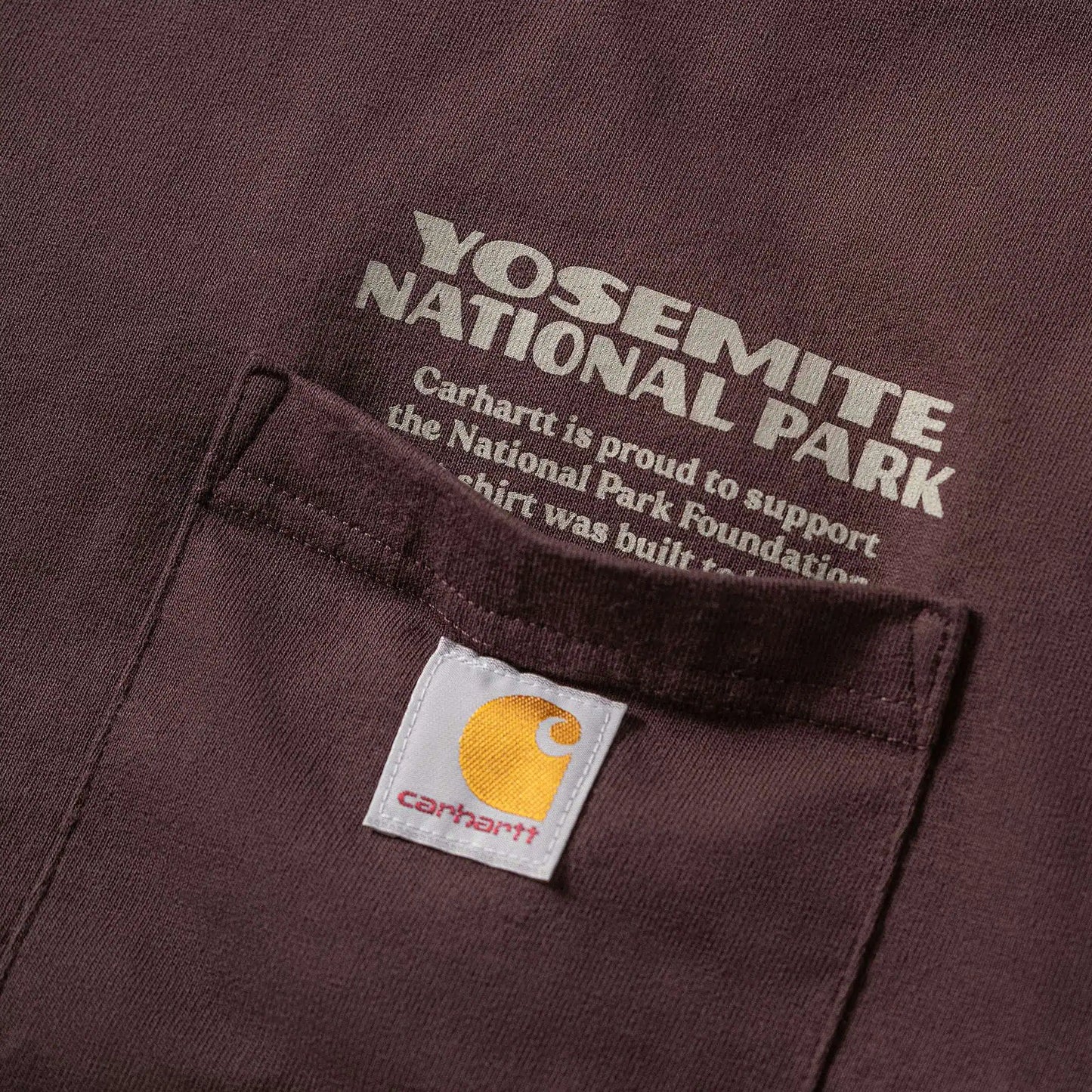 Loose Fit Heavyweight Long-Sleeve Yosemite National Park Graphic T-Shirt