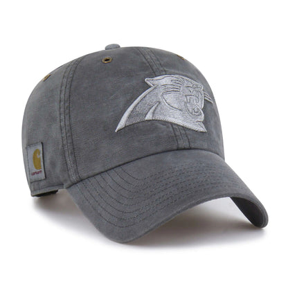 Carolina Panthers '47 Dyed Clean Up