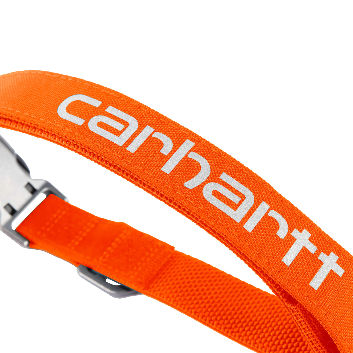 Field Dog Collar